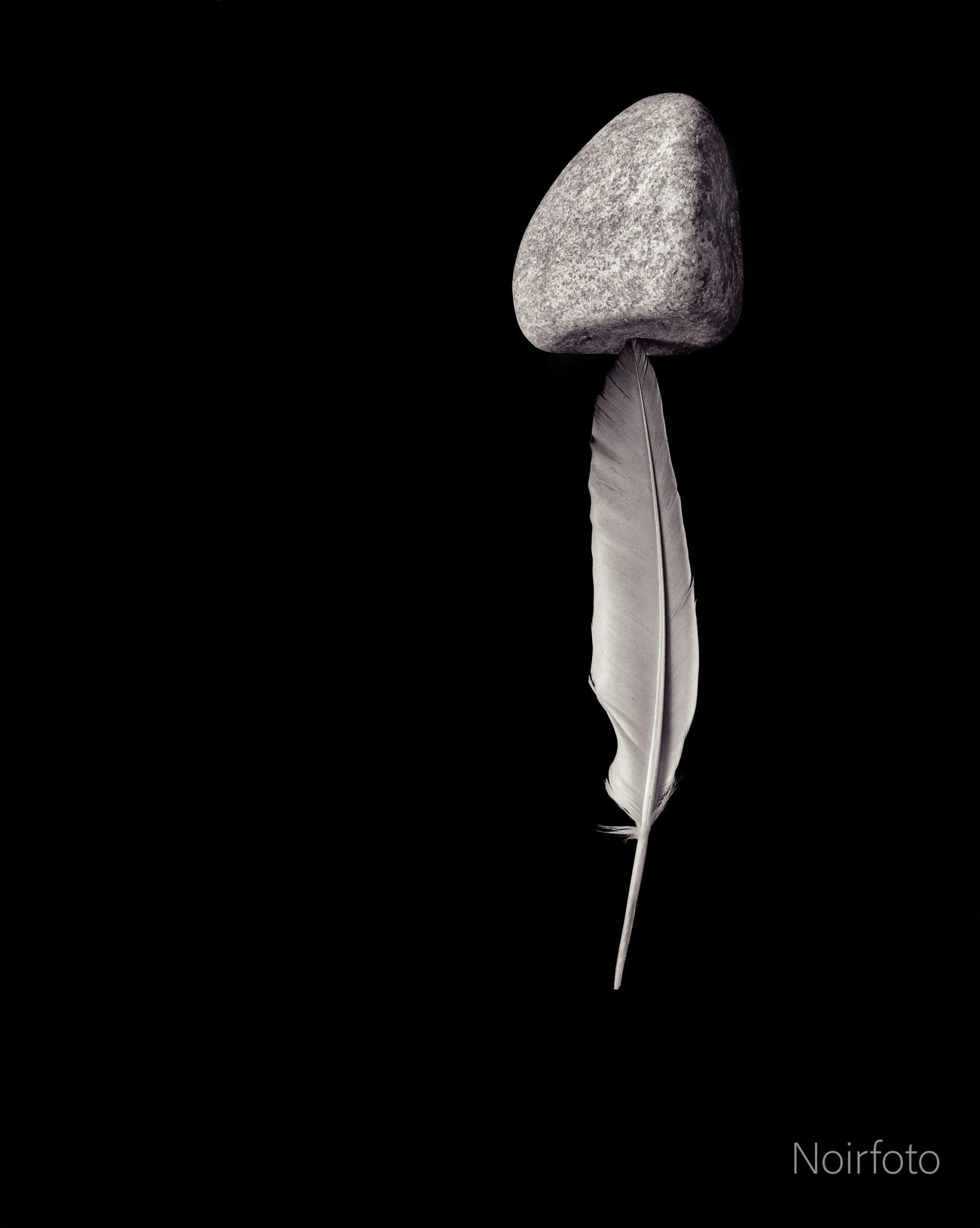 Tác phẩm Feather Stone của Tom Hricko.