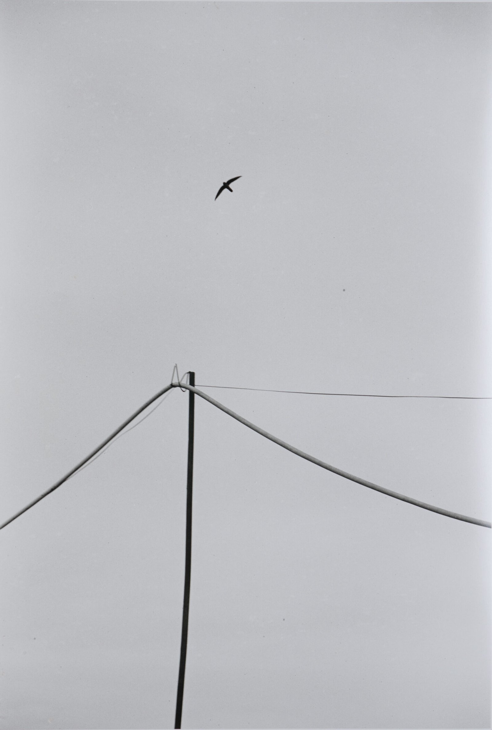 Open Air