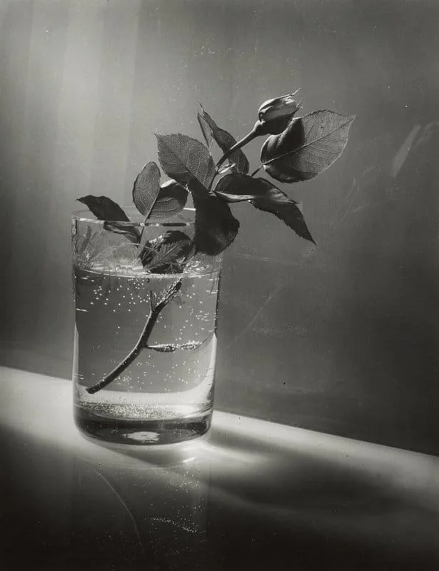 Josef Sudek, Cốc thuỷ tinh và hoa, 1920