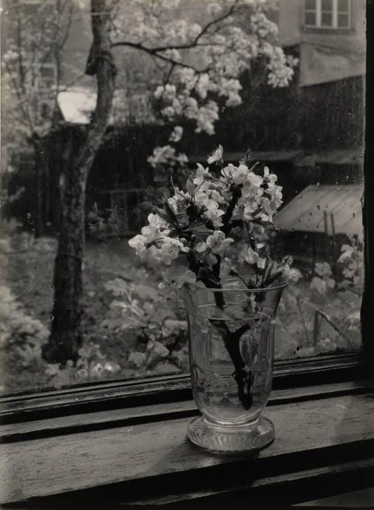 Josef Sudek, 1946