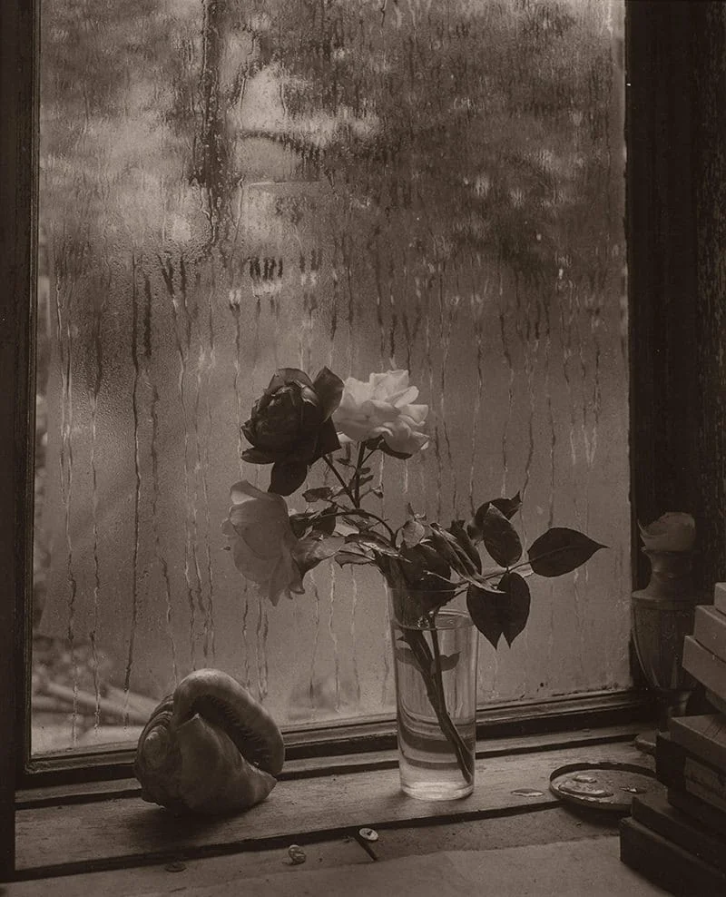 Josef Sudek, Những bông hồng cuối cùng, 1956