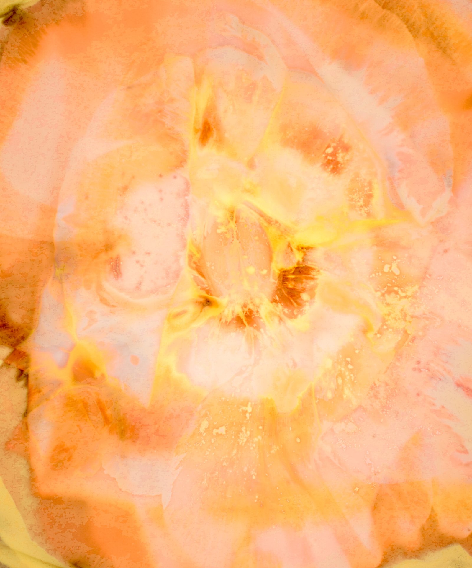 Eruption of Forbidden Pleasure – Pham Tuan Ngoc