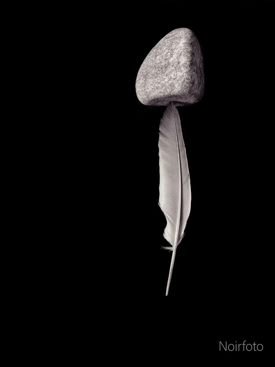 Tác phẩm Feather Stone của Tom Hricko.