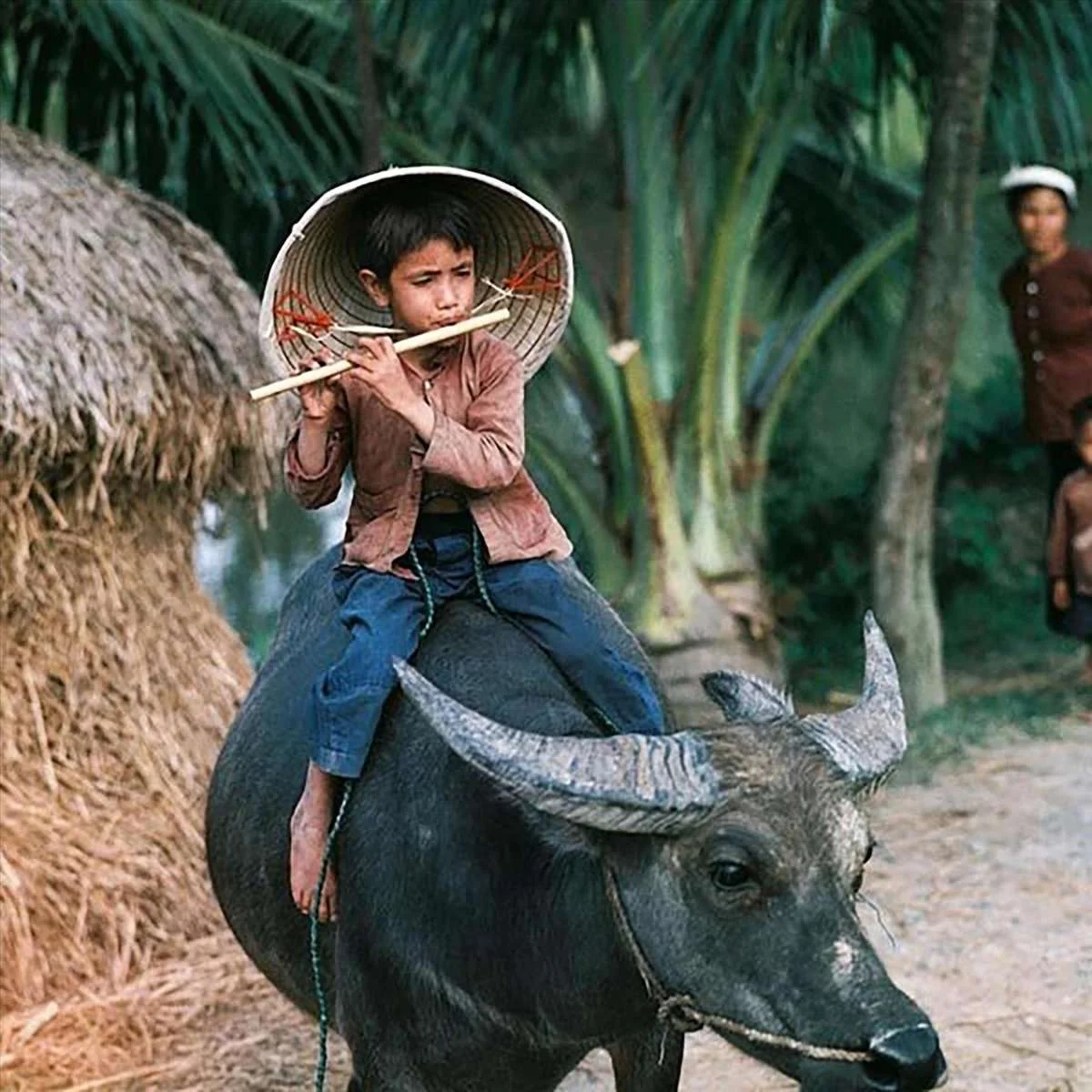 Một bức ảnh khác xuất hiện trong triển lãm “Hà Nội 1967 – 1975”.