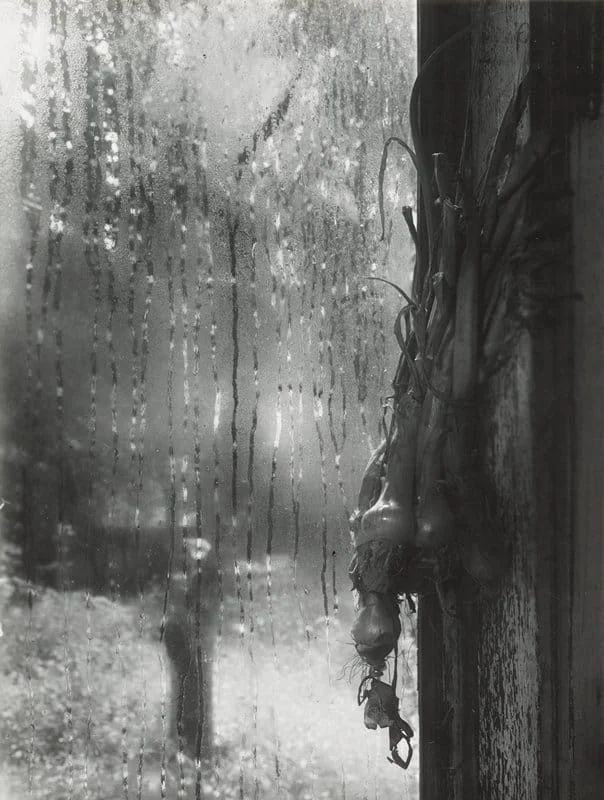 Josef Sudek, Từ cửa sổ xưởng làm việc, 1944-1953