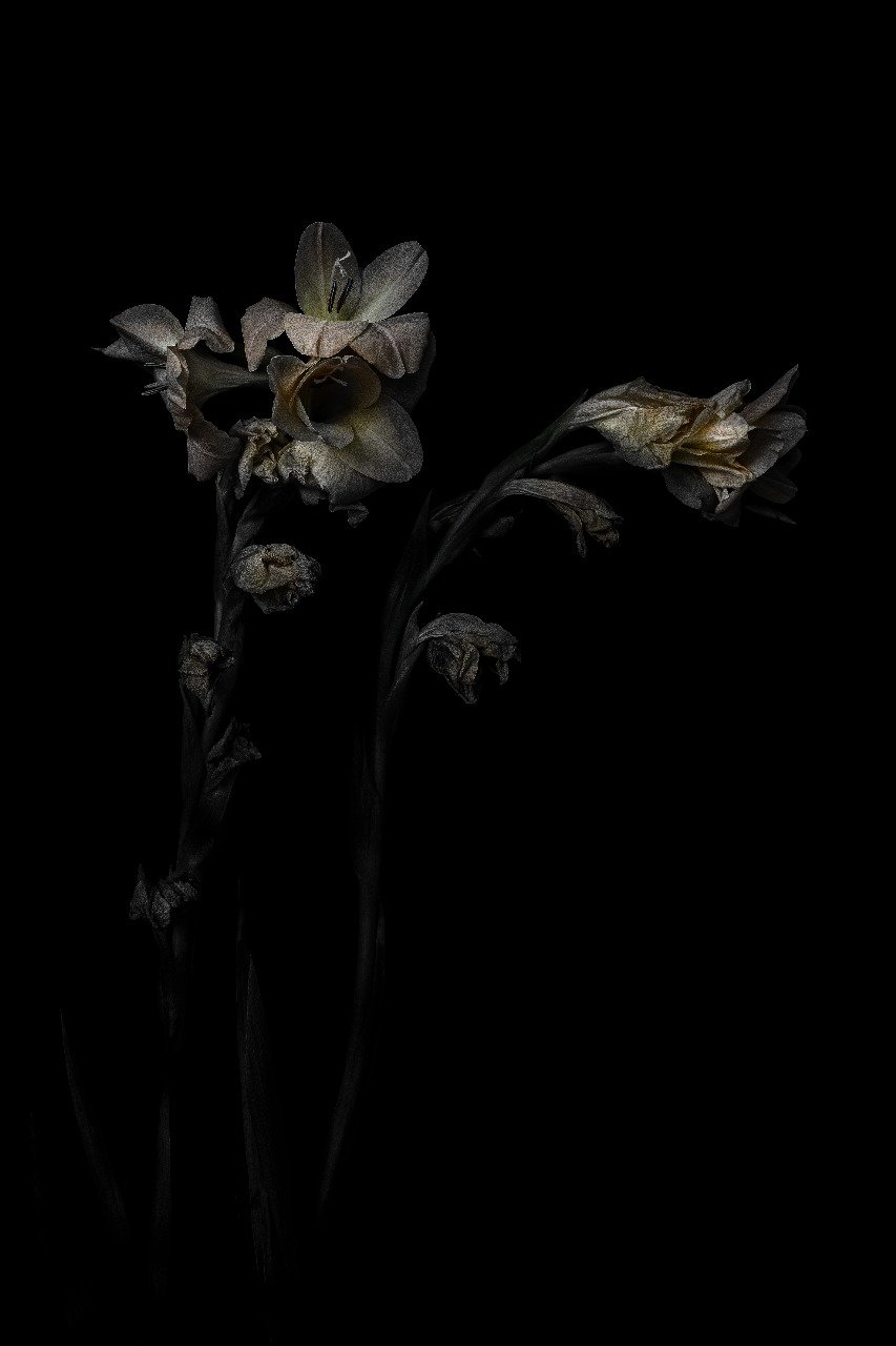 Iris (Couple)