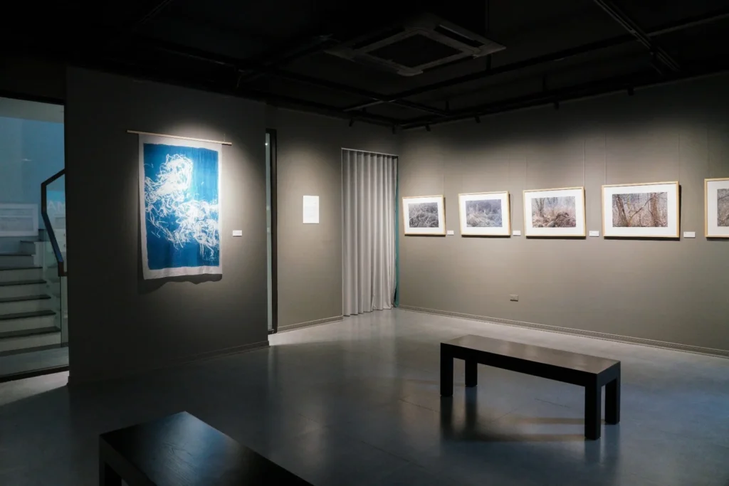 “MAY” Exhibition