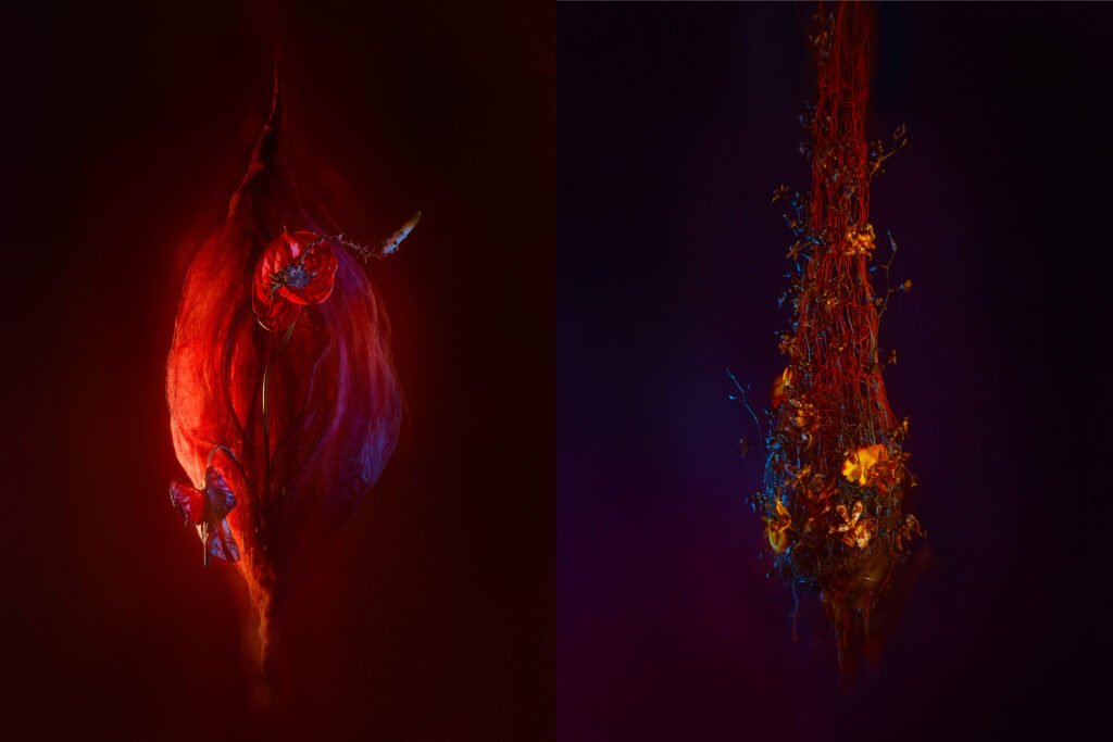 Flowergasm - Lust & Desire (pair)