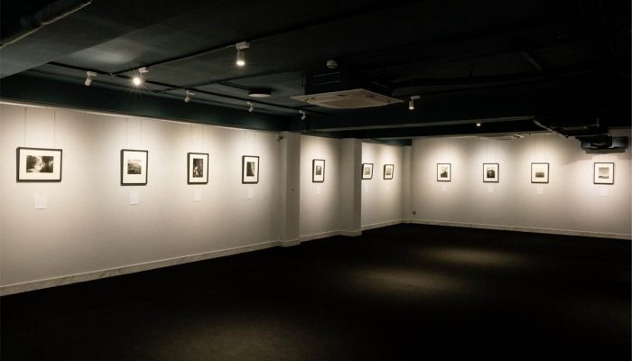Art Exhibition Section